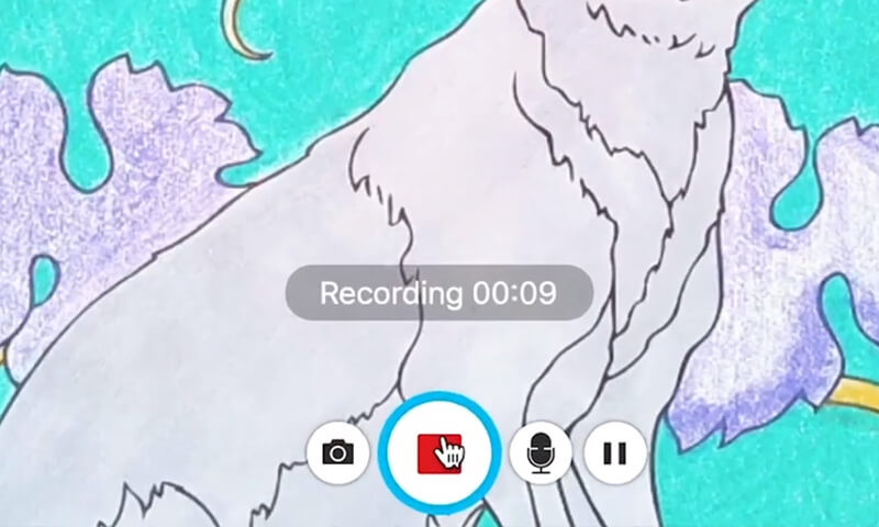 Aufnehmen von Videos mit Visualizer